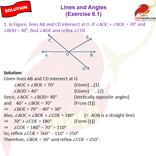 Ncert Solutions Class 9 Chapter 6 Lines and Angles Exercise 6.1 Question 1